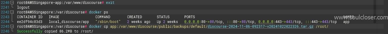 Docker cp文件