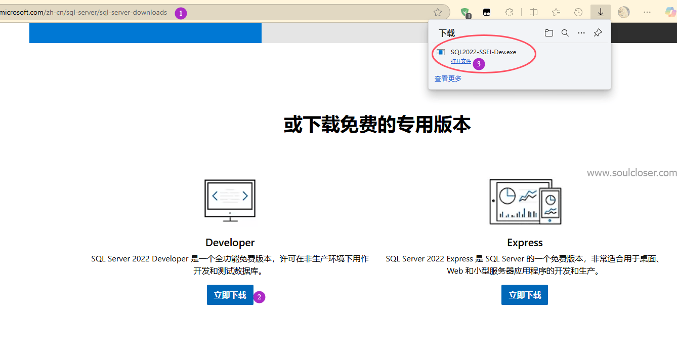 Windows下载SQL Server 2022 Developer
