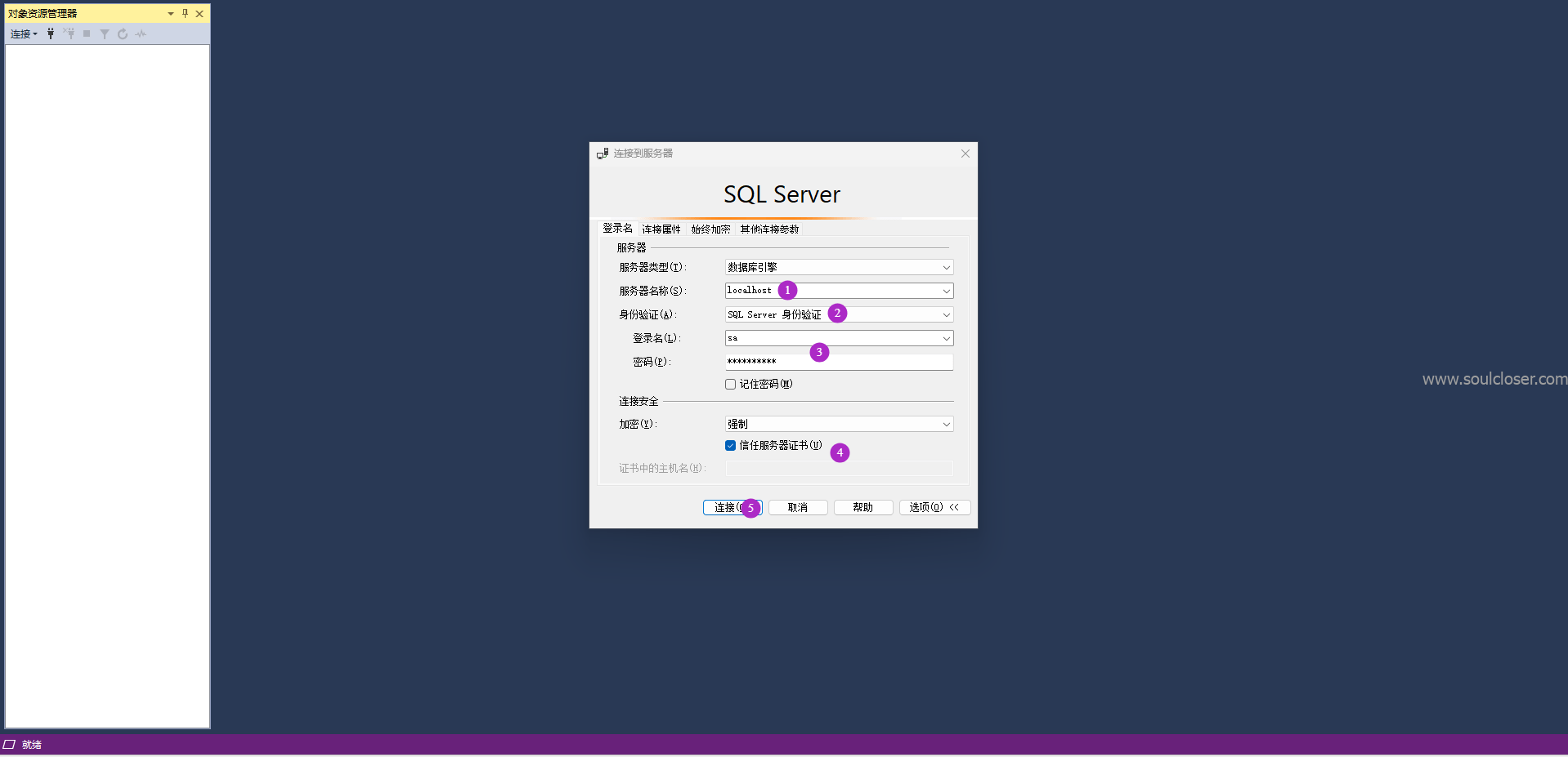 使用SSMS连接SQL Server