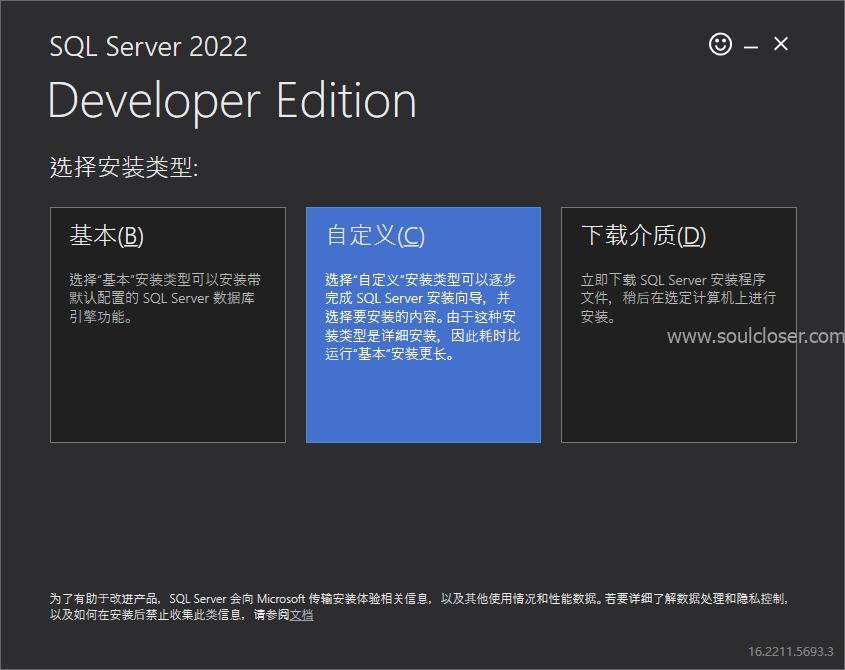 选择SQL Server 安装的类型为自定义